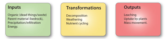 Soil_system